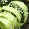 Order  Summer Breeze Ribbon - Daisy Lime